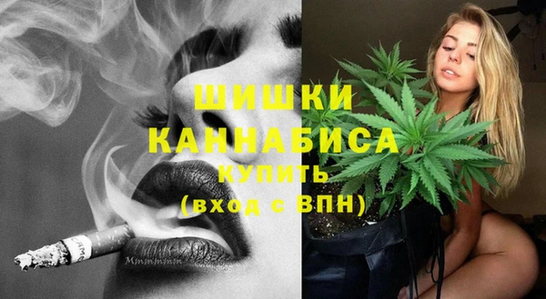 spice Бородино